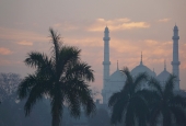 IIP Online Student Photography